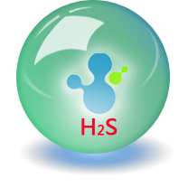 硫化氢标准气